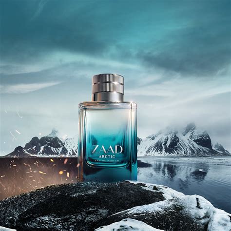 zaad arctic